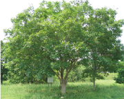 キョウゴク環境方針